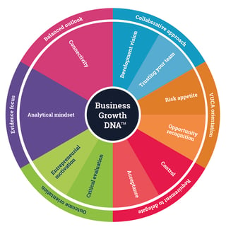 Business Growth DNA - 17 Critical Factors.jpg