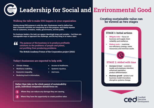 Leadership for Social and Environmental Good Infographic