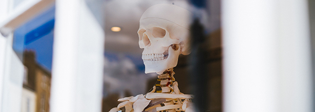 What can skeletons teach us about leadership